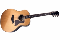 Taylor 818e Grand Orchestra