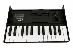 Roland Boutique K-25m Keyboard