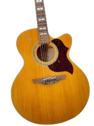 Takamine EG523SC Westerngitarr